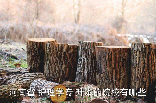 河南省 護(hù)理學(xué)專(zhuān) 升本的院校有哪些