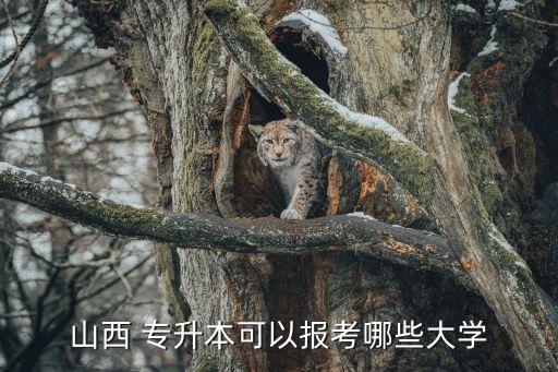 山西 專(zhuān)升本可以報(bào)考哪些大學(xué)