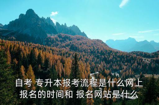  自考 專升本報(bào)考流程是什么網(wǎng)上 報(bào)名的時(shí)間和 報(bào)名網(wǎng)站是什么