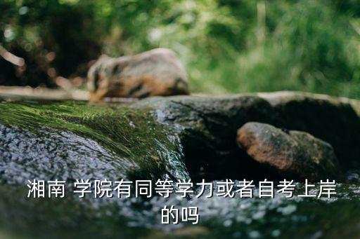 湘南學院專升本錄取線