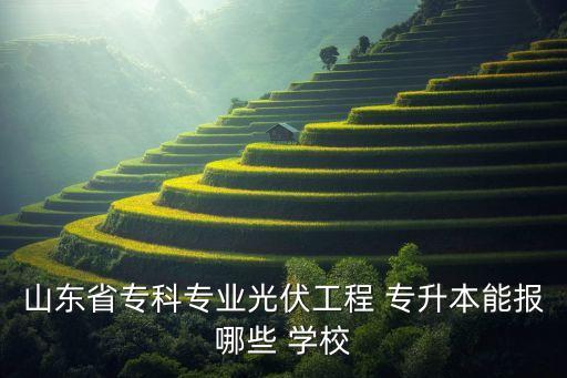 山東省?？茖I(yè)光伏工程 專升本能報(bào)哪些 學(xué)校