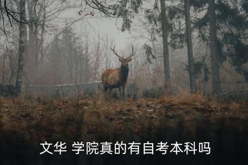 武漢文華學院專升本什么意思