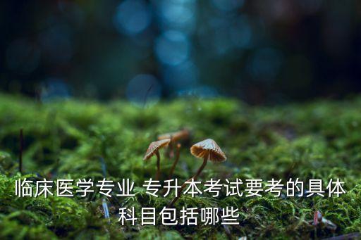 臨床醫(yī)學(xué)專業(yè) 專升本考試要考的具體科目包括哪些