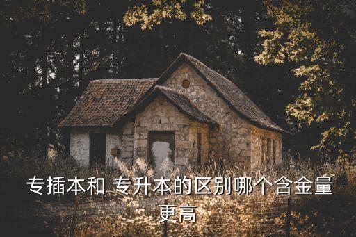  專插本和 專升本的區(qū)別哪個(gè)含金量更高