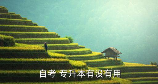  自考 專(zhuān)升本有沒(méi)有用