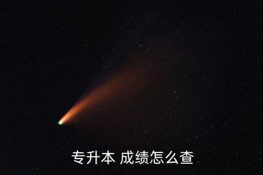  專升本 成績?cè)趺床? class=