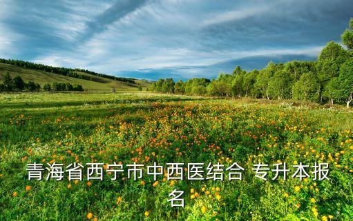 青海專(zhuān)升本招生計(jì)劃