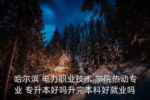  哈爾濱 電力職業(yè)技術(shù) 學(xué)院熱動(dòng)專業(yè) 專升本好嗎升完本科好就業(yè)嗎