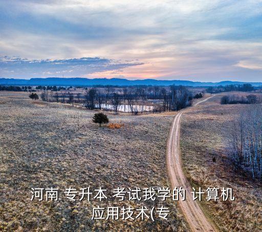  河南 專升本 考試我學的 計算機應用技術(專