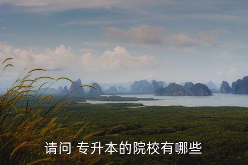 請(qǐng)問 專升本的院校有哪些