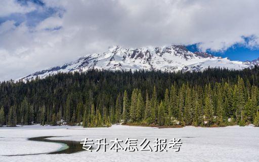  專升本怎么報考
