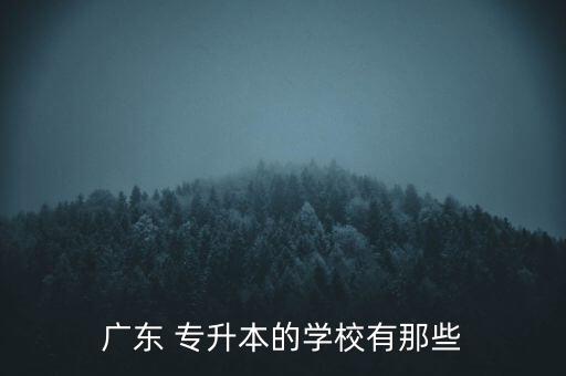 廣東 專升本的學校有那些