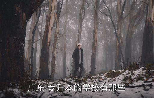 廣東 專升本的學校有那些