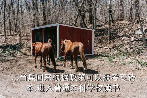 ...當兵回來根據(jù)政策可以報考專轉(zhuǎn)本,進入普通本科學校讀書