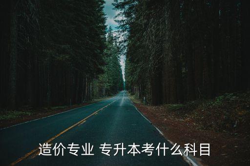 造價(jià)專業(yè) 專升本考什么科目