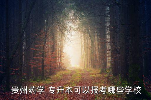  貴州藥學(xué) 專升本可以報(bào)考哪些學(xué)校