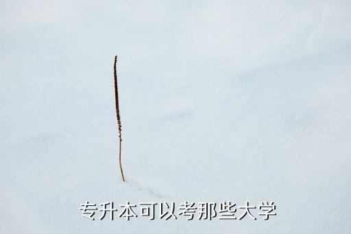  專升本可以考那些大學