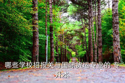 哪些學(xué)校招報(bào)關(guān)與國(guó)際貨運(yùn)專業(yè)的 專升本