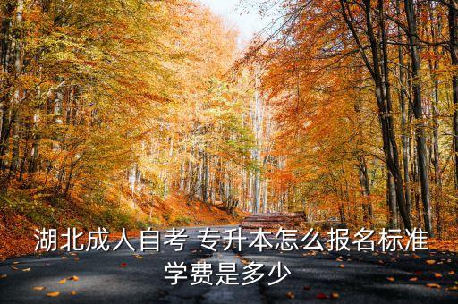  湖北成人自考 專升本怎么報(bào)名標(biāo)準(zhǔn)學(xué)費(fèi)是多少