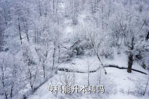  ?？颇苌究茊? class=