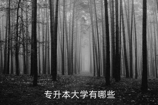  專升本大學有哪些