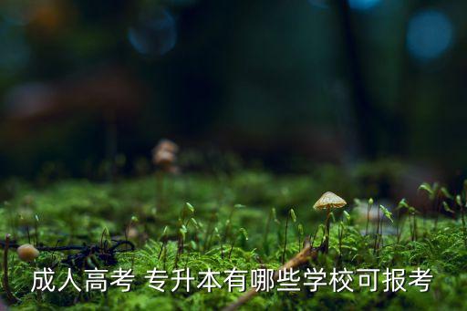 成人高考 專升本有哪些學(xué)?？蓤罂? class=