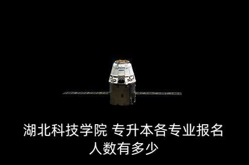  湖北科技學(xué)院 專升本各專業(yè)報名 人數(shù)有多少