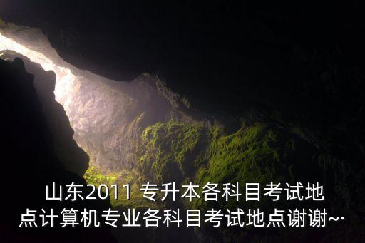  山東2011 專升本各科目考試地點計算機專業(yè)各科目考試地點謝謝~·