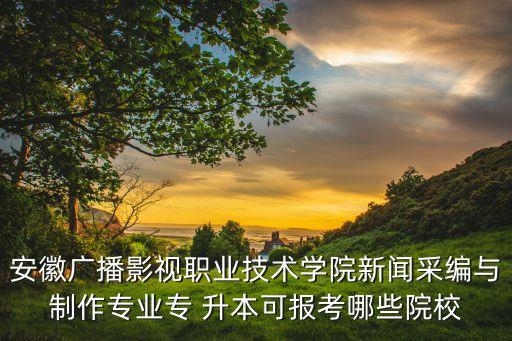 安徽廣播影視職業(yè)技術學院新聞采編與制作專業(yè)專 升本可報考哪些院校