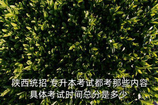  陜西統(tǒng)招 專(zhuān)升本考試都考那些內(nèi)容具體考試時(shí)間總分是多少