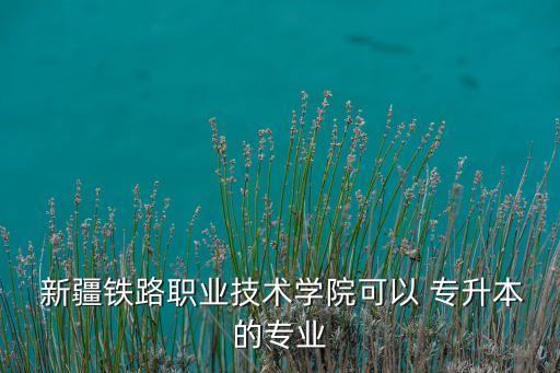  新疆鐵路職業(yè)技術(shù)學(xué)院可以 專升本的專業(yè)