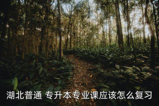 湖北普通 專升本專業(yè)課應該怎么復習