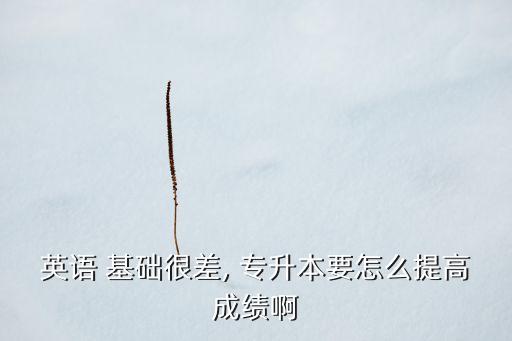 英語 基礎(chǔ)很差, 專升本要怎么提高成績(jī)啊