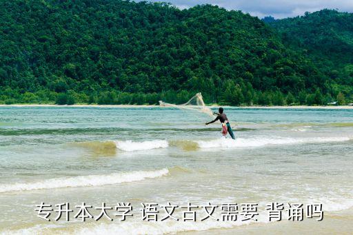  專升本大學(xué) 語(yǔ)文古文需要 背誦嗎