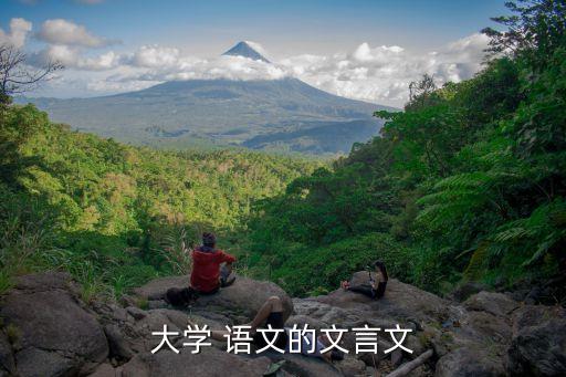 大學(xué) 語(yǔ)文的文言文