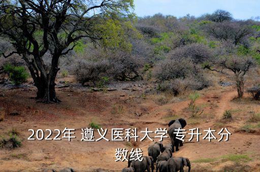 遵義醫(yī)學(xué)院專升本什么時候錄取,珠海遵義醫(yī)學(xué)院專升本分數(shù)線