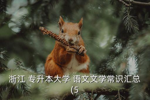 浙江 專升本大學(xué) 語文文學(xué)常識(shí)匯總(5
