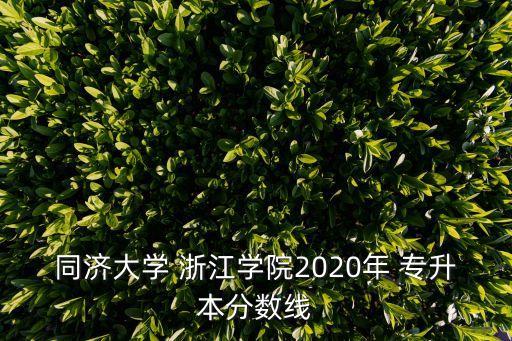 同濟大學 浙江學院2020年 專升本分數線