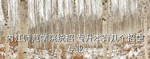 內(nèi)江師范學(xué)院統(tǒng)招 專(zhuān)升本有幾個(gè)招生專(zhuān)業(yè)