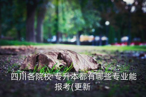 專升本考四川音樂(lè)學(xué)院,四川音樂(lè)學(xué)院專升本2022