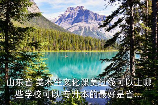 山東省 美術(shù)生文化課莫過線可以上哪些學(xué)?？梢?專升本的最好是省...