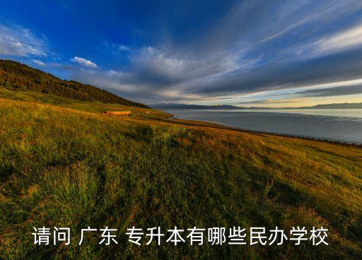請問 廣東 專升本有哪些民辦學校