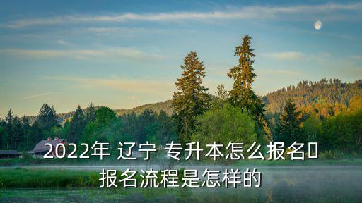 2022年 遼寧 專升本怎么報名?報名流程是怎樣的