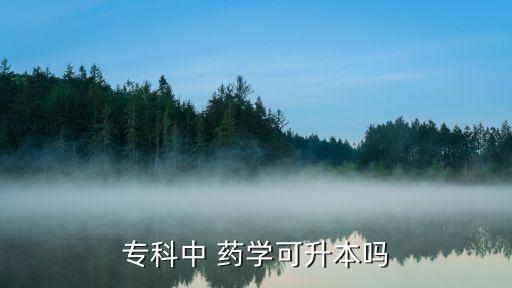 專科中 藥學可升本嗎