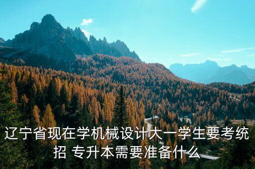 遼寧省現(xiàn)在學(xué)機(jī)械設(shè)計大一學(xué)生要考統(tǒng)招 專升本需要準(zhǔn)備什么