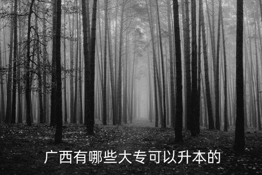  廣西有哪些大?？梢陨镜? class=