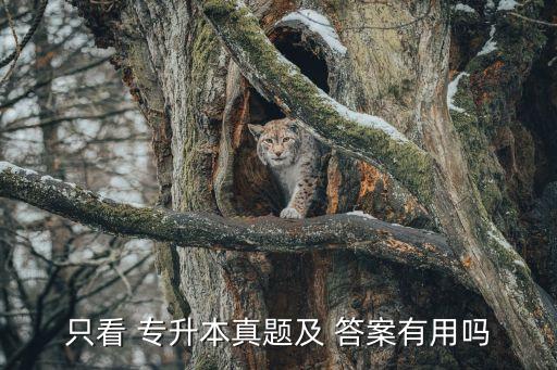只看 專(zhuān)升本真題及 答案有用嗎