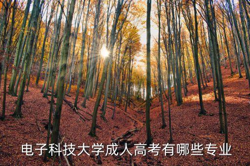  電子科技大學(xué)成人高考有哪些專(zhuān)業(yè)