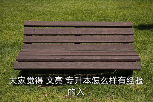 大家覺得 文亮 專升本怎么樣有經驗的入