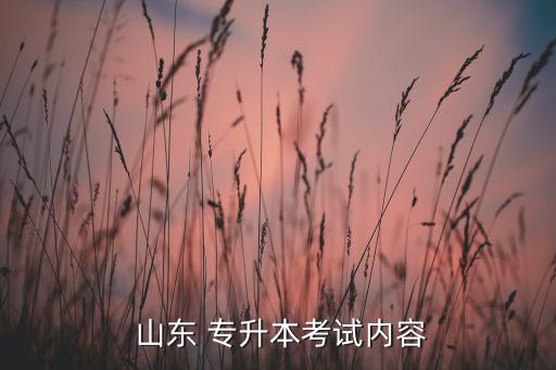  山東 專升本考試內容